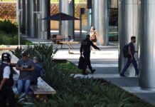 quem é o banqueiro preso Daniel Vorcaro e por que BC resolveu liquidar o banco