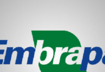 Embrapa diz que Brasil precisa vender tecnologia, além de commodities