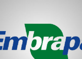Embrapa diz que Brasil precisa vender tecnologia, além de commodities