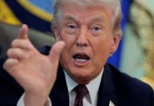 O preço (em dólar) da estupidez política